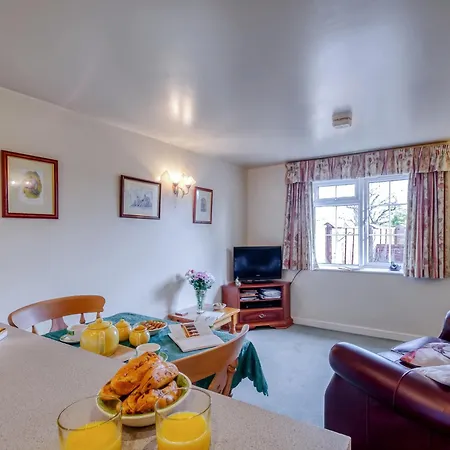 Blossom * 戈尔兹伯勒