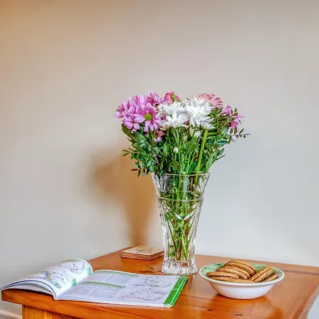 Blossom * 戈尔兹伯勒